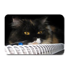 Cat Wanna Study Plate Mat by LoolyElzayat