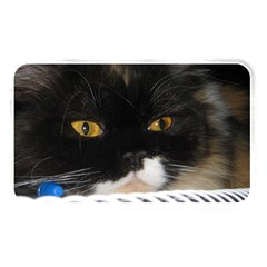 Cat Wanna Study Memory Card Reader (rectangular) by LoolyElzayat