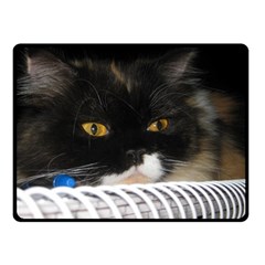 Cat Wanna Study Fleece Blanket (small) by LoolyElzayat