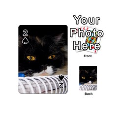 Cat Wanna Study Playing Cards 54 (mini) by LoolyElzayat