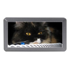 Cat Wanna Study Memory Card Reader (mini) by LoolyElzayat