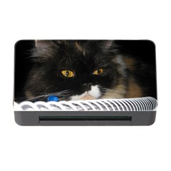 Cat Wanna Study Memory Card Reader With Cf by LoolyElzayat