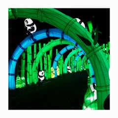 Dragon Lights Panda Medium Glasses Cloth by Riverwoman