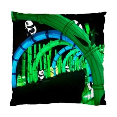 Dragon Lights Panda Standard Cushion Case (two Sides) by Riverwoman