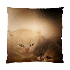 Kittens Love Standard Cushion Case (one Side) by LoolyElzayat