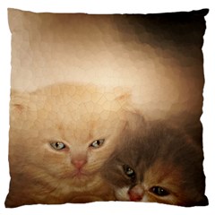 Kittens Love Large Cushion Case (two Sides) by LoolyElzayat