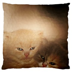 Kittens Love Large Flano Cushion Case (one Side) by LoolyElzayat