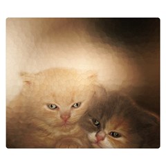 Kittens Love Double Sided Flano Blanket (small)  by LoolyElzayat