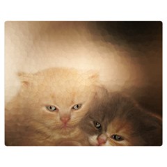 Kittens Love Double Sided Flano Blanket (medium)  by LoolyElzayat