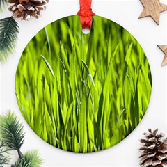 Agricultural Field   Ornament (round) by rsooll