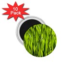 Agricultural field   1.75  Magnets (10 pack)  Front