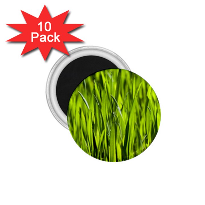 Agricultural field   1.75  Magnets (10 pack) 