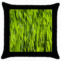 Agricultural Field   Throw Pillow Case (black) by rsooll