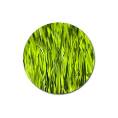 Agricultural Field   Magnet 3  (round) by rsooll