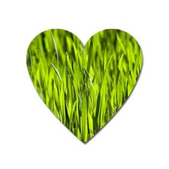 Agricultural Field   Heart Magnet by rsooll