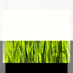 Agricultural Field   Rectangular Jigsaw Puzzl by rsooll