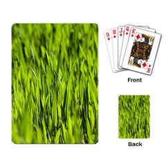 Agricultural Field   Playing Cards Single Design by rsooll