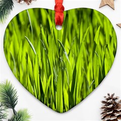 Agricultural Field   Heart Ornament (two Sides) by rsooll