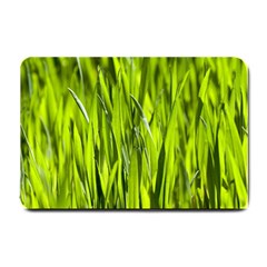 Agricultural Field   Small Doormat  by rsooll