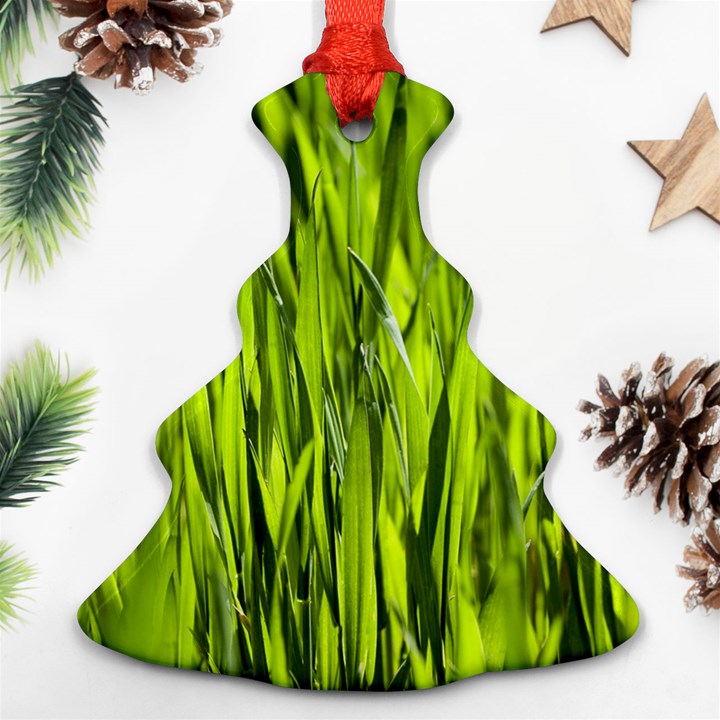 Agricultural field   Christmas Tree Ornament (Two Sides)