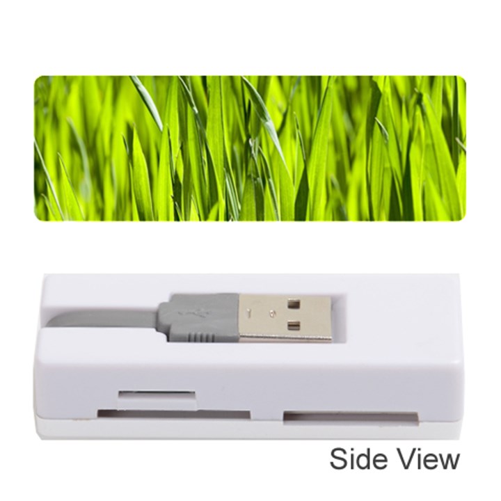 Agricultural field   Memory Card Reader (Stick)