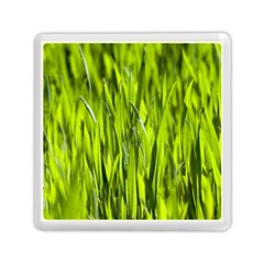 Agricultural Field   Memory Card Reader (square) by rsooll