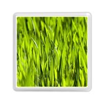 Agricultural field   Memory Card Reader (Square) Front