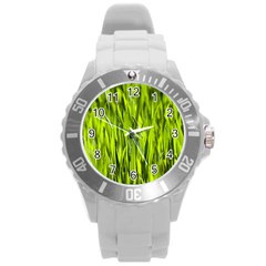 Agricultural Field   Round Plastic Sport Watch (l) by rsooll