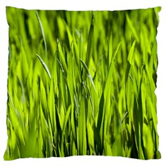 Agricultural Field   Large Flano Cushion Case (two Sides) by rsooll