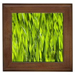 Agricultural Field   Framed Tiles