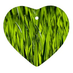 Agricultural Field   Ornament (heart) by rsooll