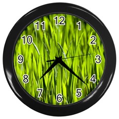 Agricultural Field   Wall Clock (black) by rsooll