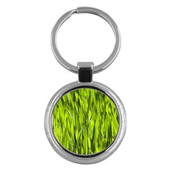 Agricultural Field   Key Chains (round)  by rsooll