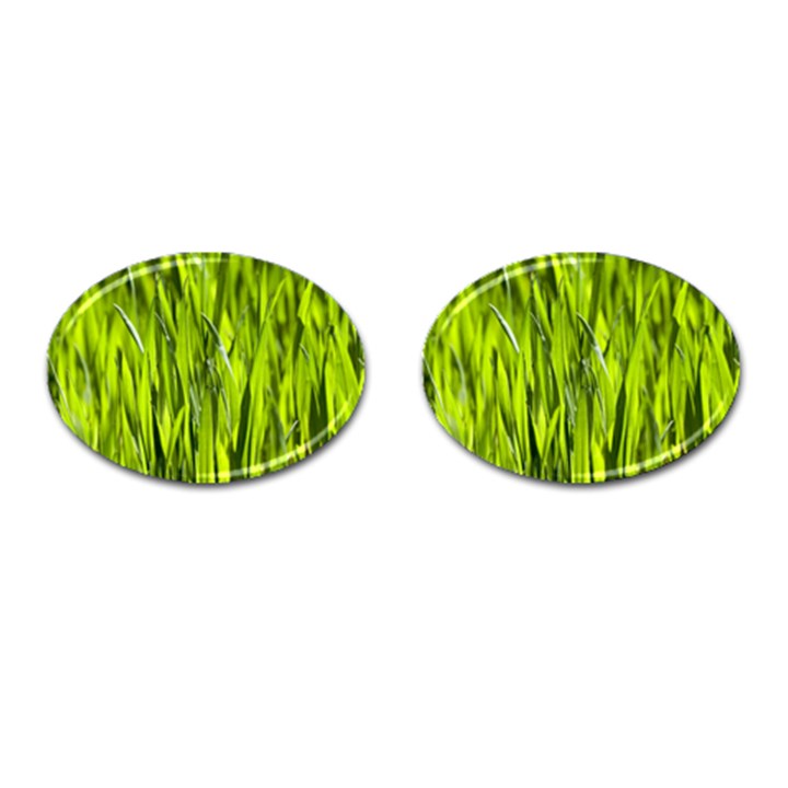 Agricultural field   Cufflinks (Oval)