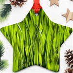 Agricultural field   Star Ornament (Two Sides) Front