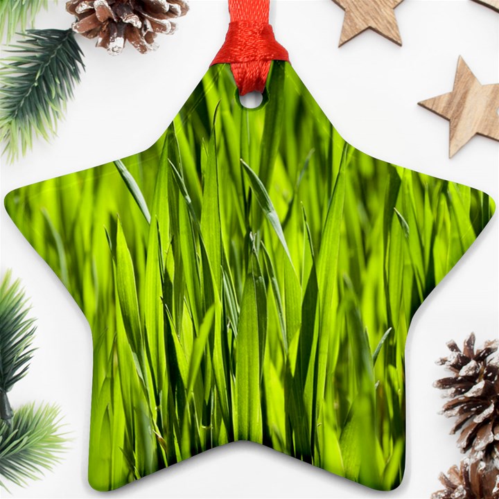 Agricultural field   Star Ornament (Two Sides)