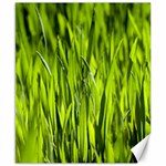 Agricultural field   Canvas 8  x 10  8.15 x9.66  Canvas - 1