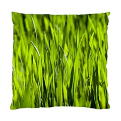 Agricultural Field   Standard Cushion Case (one Side) by rsooll