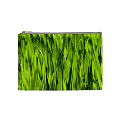 Agricultural Field   Cosmetic Bag (medium) by rsooll