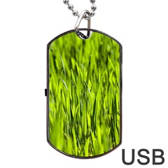 Agricultural Field   Dog Tag Usb Flash (one Side) by rsooll