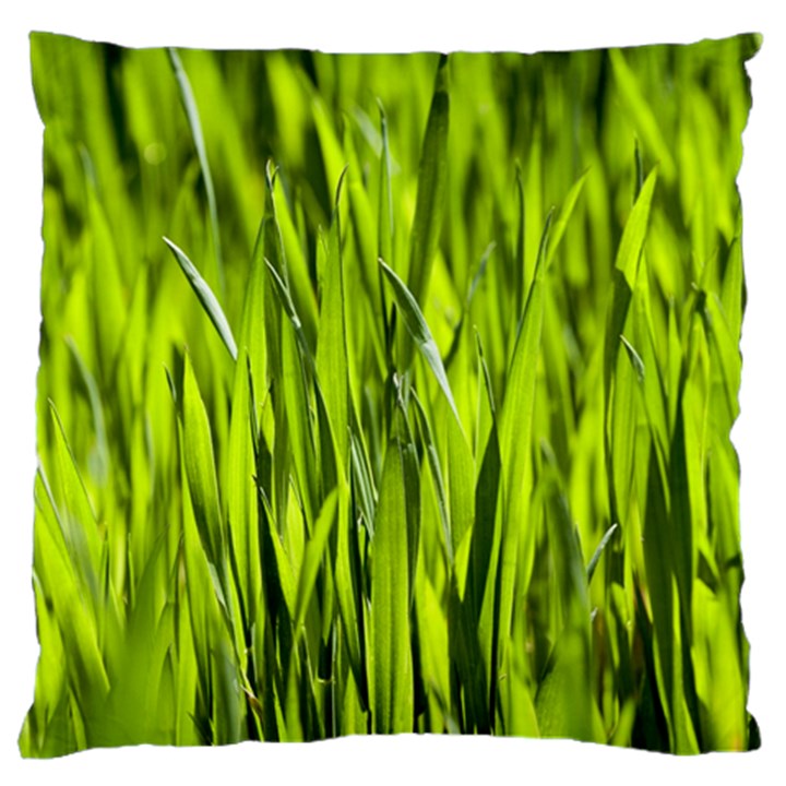 Agricultural field   Large Cushion Case (One Side)