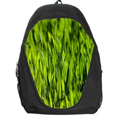 Agricultural Field   Backpack Bag