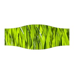 Agricultural Field   Stretchable Headband by rsooll