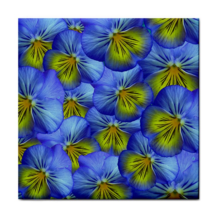 Flowers Pansy Background Purple Tile Coasters