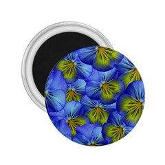 Flowers Pansy Background Purple 2 25  Magnets