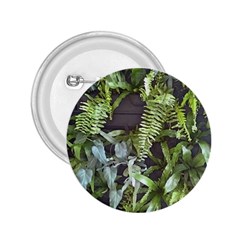 Living Wall 2 25  Buttons by Riverwoman