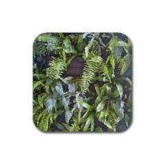 Living Wall Rubber Coaster (square) 