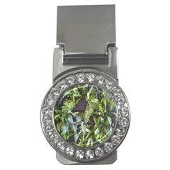 Living Wall Money Clips (cz)  by Riverwoman