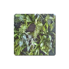 Living Wall Square Magnet by Riverwoman