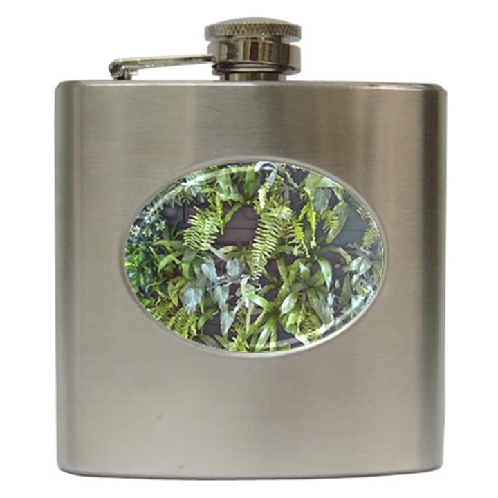 Living Wall Hip Flask (6 oz)